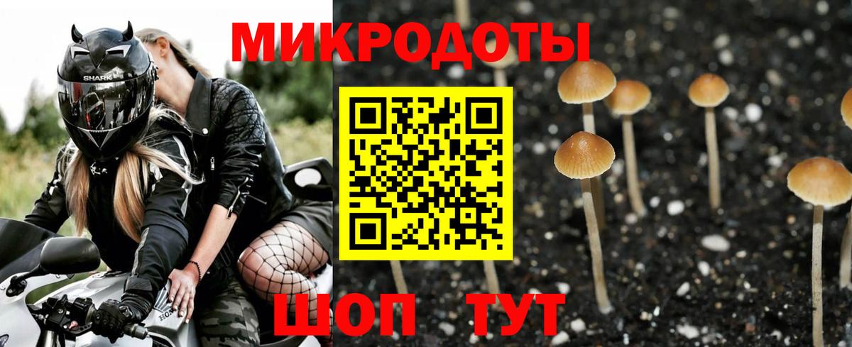 Галлюциногенные грибы Cubensis  Вход с VPN  Урай 